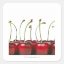 Search for fresh food stickers Square