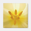 Search for pedal magnets Flower