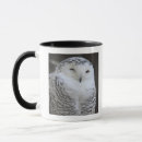Search for white owl mugs Nature