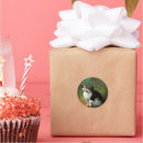 Search for christmas kitten stickers Cat