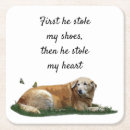 Search for labrador coasters Animal
