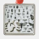 Search for caterpillar christmas tree decorations Larva