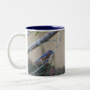 Search for bluebird coffee mugs Wildlife
