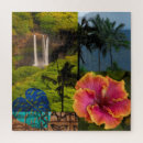 Search for tropical island puzzles Hibiscus
