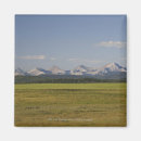 Search for rolling fields Green
