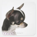 Search for side view stickers Dog
