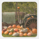 Search for fresh vegetables stickers Autumn