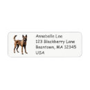 Search for belgian malinois return address labels Cute