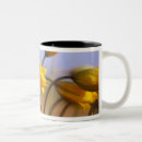 Search for narcissus flower mugs Daffodil