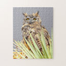 Search for birds of prey puzzles Owl