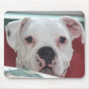 Search for pups mousepads Bulldog