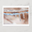 Search for icicle postcards Nature