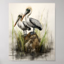 Search for bird lovers art Pelicans