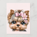 Search for yorky postcards Yorkshire terrier