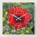 Search for poppy clocks Green