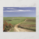 Search for alo postcards Flower