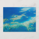 Search for great barrier reef postcards Australasia