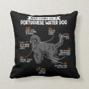 Search for anatomy decor Dog