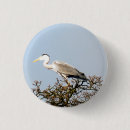 Search for wild birds badges Animals