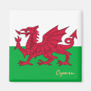 Search for cardiff magnets Cymru