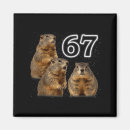Search for articles magnets Groundhog