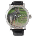 Search for german shepherd accessories Portrait