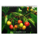Search for gardening calendars Plants