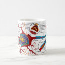 Search for neuron mugs Cell