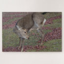 Search for nara Deer