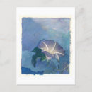 Search for nocturnal postcards Floral