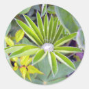 Search for filled stickers Cute