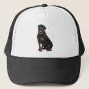 Search for rottweiler hats Pet