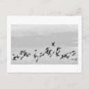 Search for bird flight postcards Wildlife