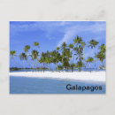 Search for galapagos postcards Ecuador