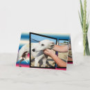 Search for whippet cards White