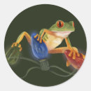 Search for tree frog stickers Funny