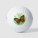 Search for butterfly golf balls Wildlife