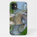 Search for spread cases Bird