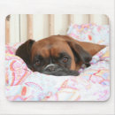 Search for snuggle electronics Dog