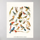 Search for l posters Zoo