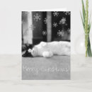 Search for kitties christmas cards Feline
