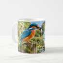 Search for kingfisher mugs Colourful bird