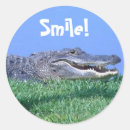 Search for reptiles labels Wild