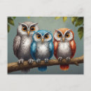Search for love owls postcards Animal