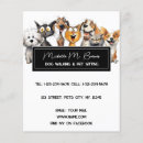Search for pet cat flyers Animal care