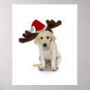 Search for santa reindeer posters Animals