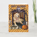 Search for golden retriever halloween cards Pet