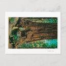 Search for mariposa postcards Big