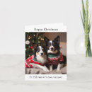 Search for border collie christmas cards Funny dogs
