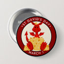 Search for daffodil badges Welsh